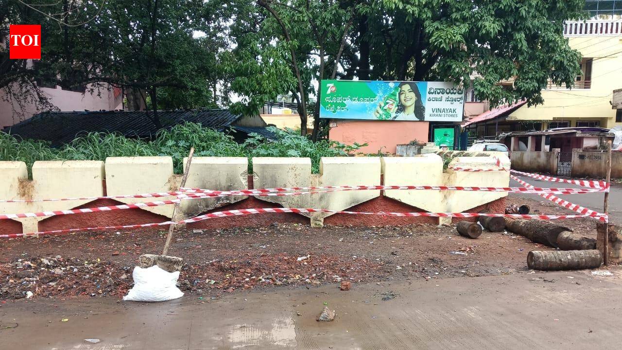 HDMC clears 30 garbage black spots in Dharwad; over 100 identified