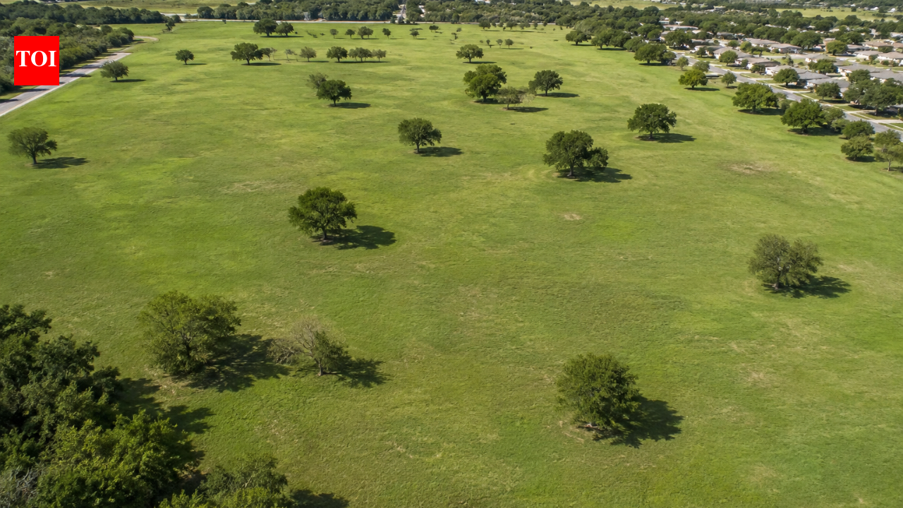 In 1999, a farmer donated 87 acres for a park for just $10; today, the land is being sold for a data center in a deal that could bring $10 million to the city and $30 million in tax revenue