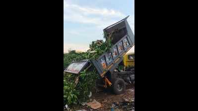 Green waste reuse in city’s landfill sites