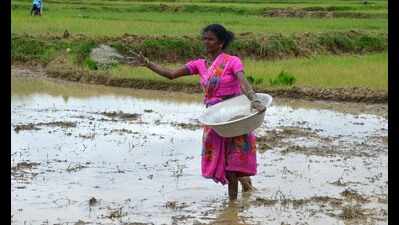  Mysuru DC tells officials