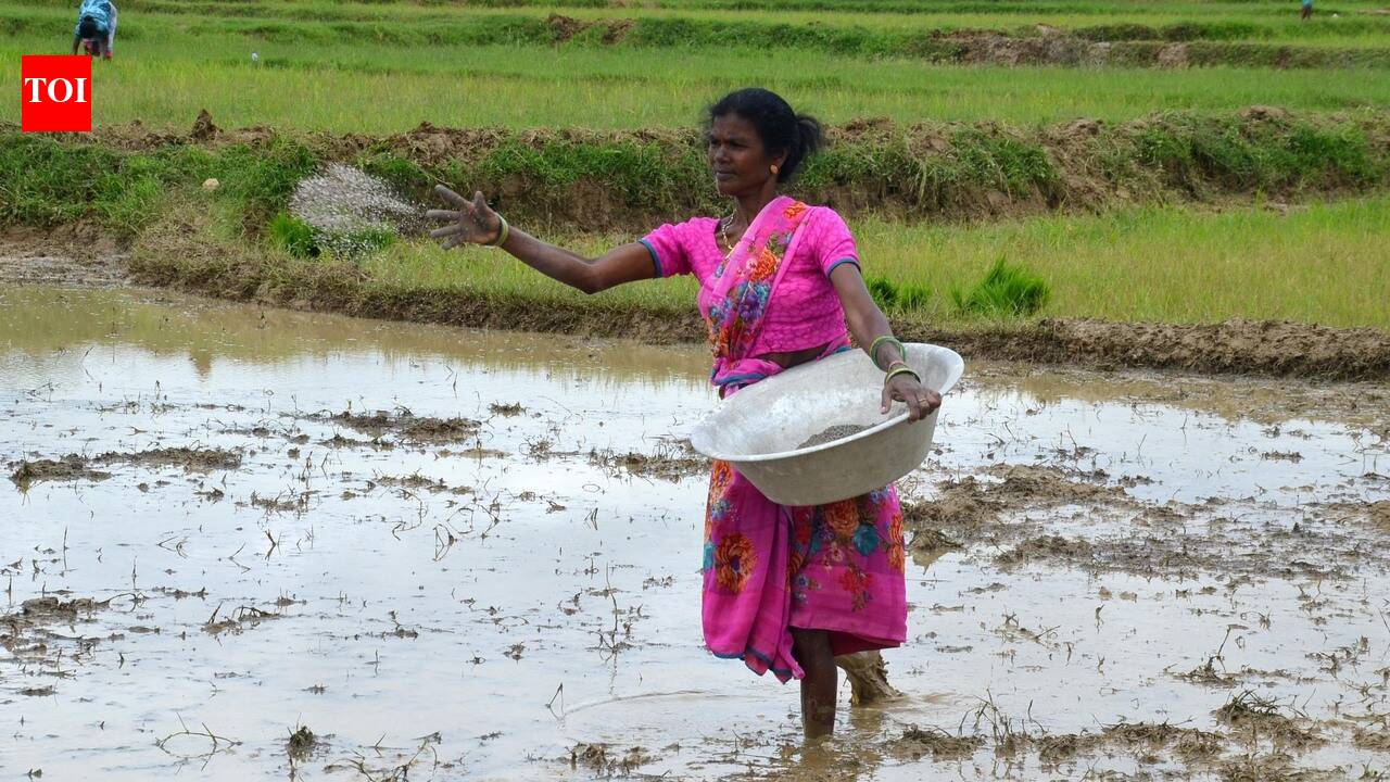 Ensure 100% coverage of monsoon crop survey: Mysuru DC tells officials