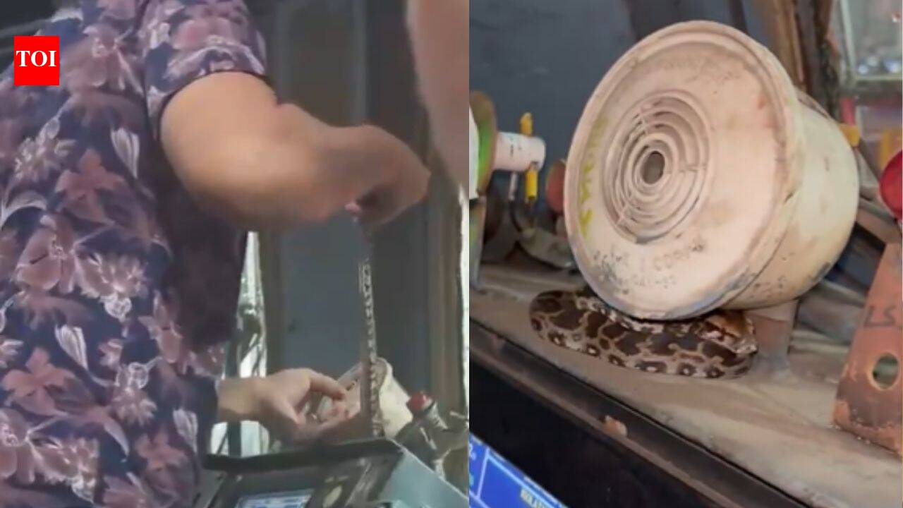 Baby python found inside locomotive of Madgaon-Mumbai Jan Shatabdi Express