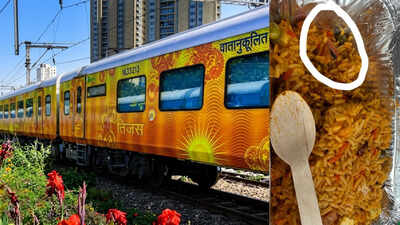 A fly in veg biryani on Tejas Rajdhani train; IRCTC slaps caterer with Rs 1 lakh fine