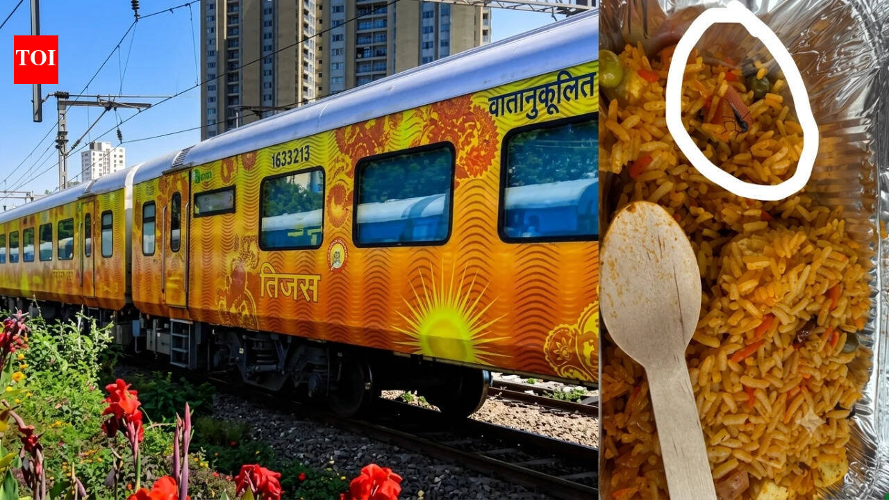 A fly in veg biryani on Tejas Rajdhani train; IRCTC slaps caterer with Rs 1 lakh fine