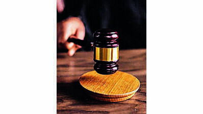 ‘Animals not chattels’: Karnataka high court refuses custody of 9 rescued dogs to owner accused of abuse