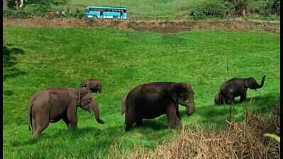 Govt working on draft to declare tourism as industry: Min