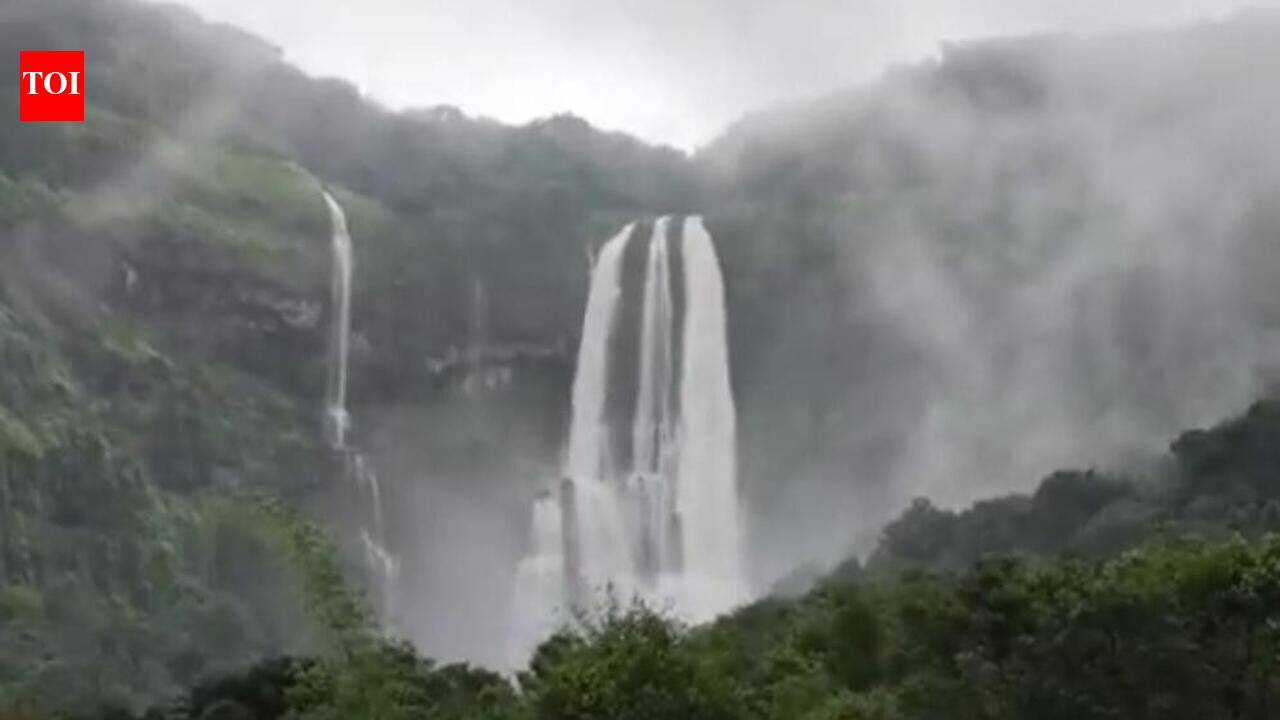 Stock in dams increase after catchment areas report heavy rainfall