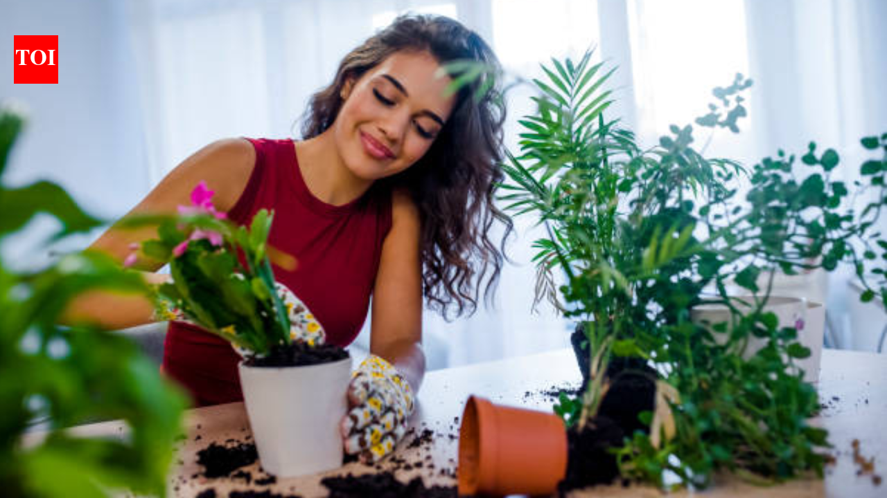 Studies suggest your vegetable garden may be growing more than food; it could be helping your mind thrive