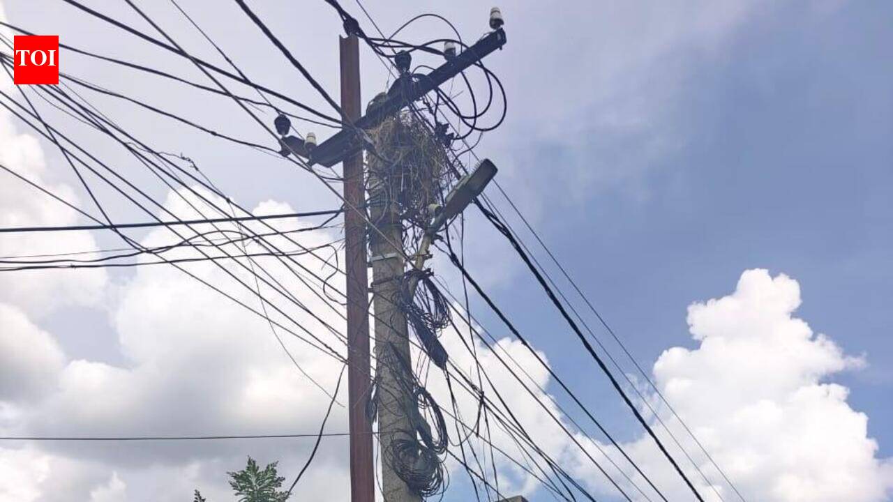 Vigilance launches probe into street lighting scam in 3 dists