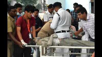 Koi andar hain? 7 agencies, 400 rescuers work through day to trace survivors
