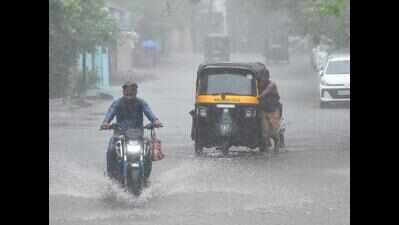 Minto Bridge, 168 more underpasses declared prone to waterlogging