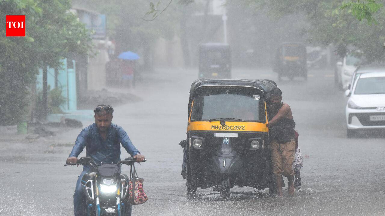 Minto Bridge, 168 more underpasses declared prone to waterlogging