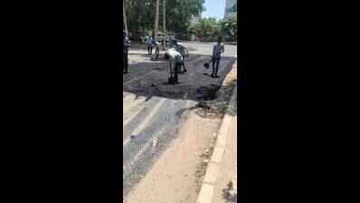 F&CC clears record 82 works in Chandigarh