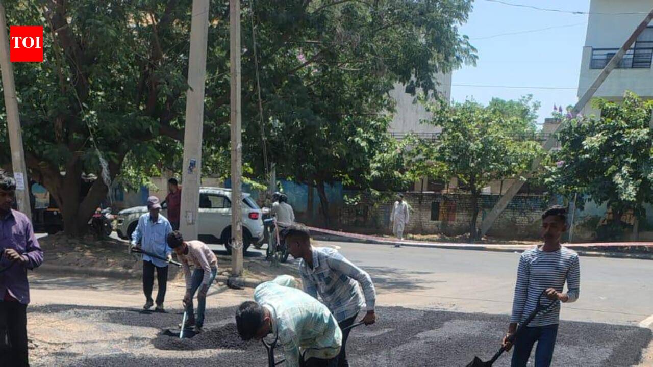 F&amp;CC clears record 82 works in Chandigarh