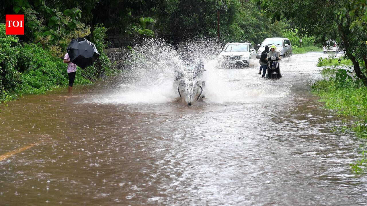 Nashik Municipal Corporation sets up monsoon task force across six divisions to tackle rain-related emergencies