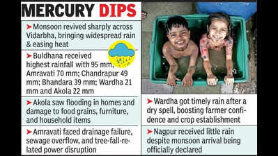Monsoon Gains Pace, Boosts Agri Works Across Vidarbha