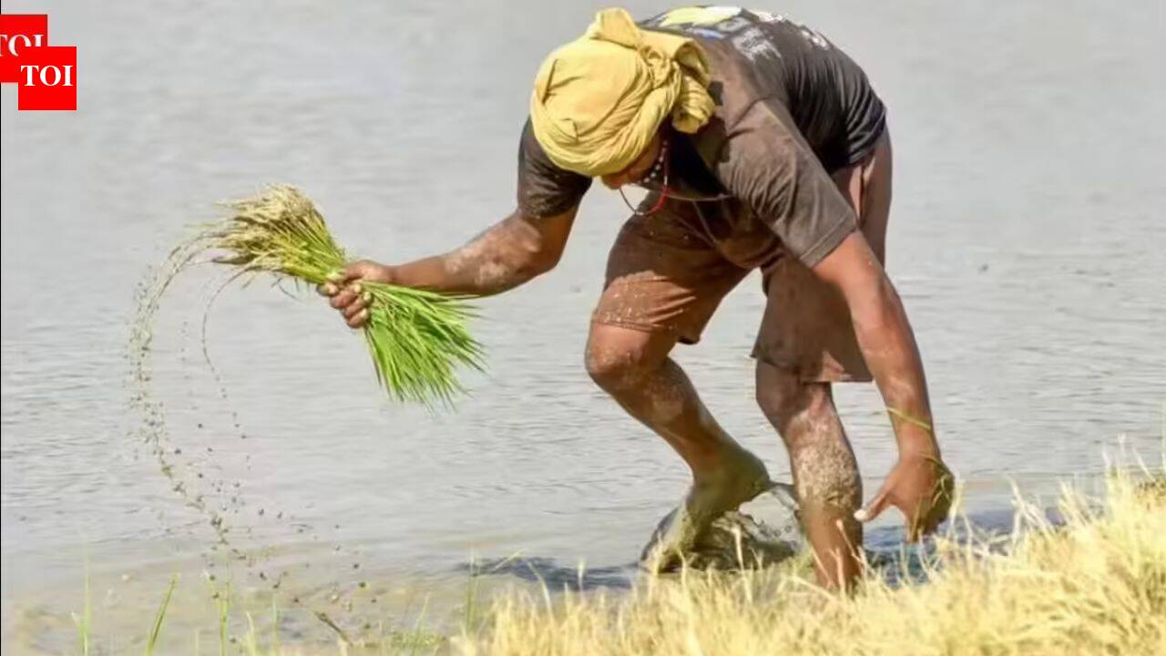 Govt notifies interim list of 318 permissible development works under new rural employment framework