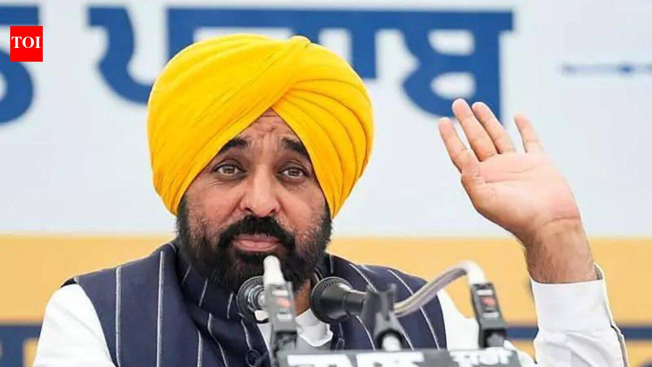 BJP demands FIR against Punjab CM Bhagwant Mann under new law