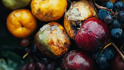 Fruits gone to waste even before they reach the market? Scientists design a special clay to slow down the rot