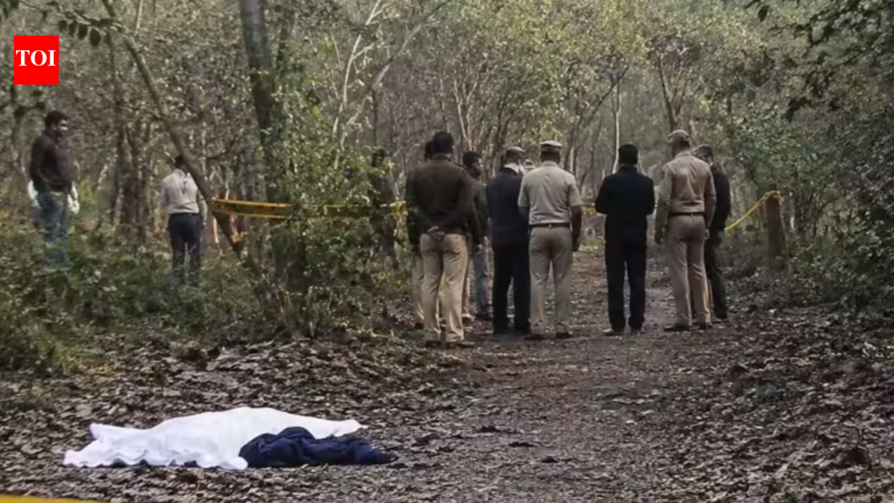 Delhi horror: After rape-murder of 10-year-old, accused cleaned cab, accepted ride, dropped passenger