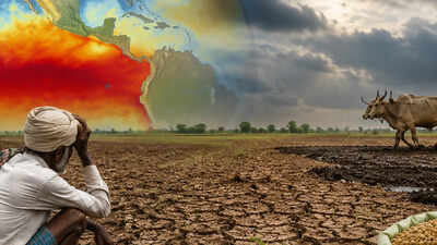 Chhattisgarh's kharif season faces uncertainty as monsoon advances with El Niño's looming threat