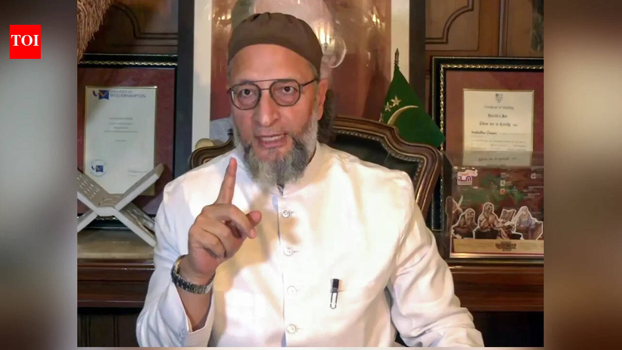 'By 2030, only one document ...': Owaisi takes dig at BJP after MEA's 'proof of citizenship' remark