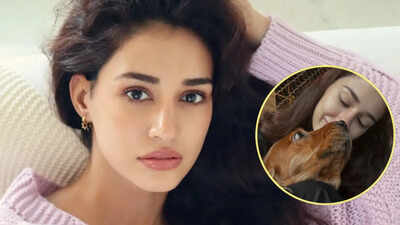 'You taught me what love is': Disha Patani mourns death of pet dog Bella, calls her 'soulmate'