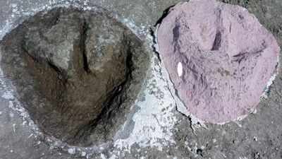 166-million-year-old Jurassic dinosaur highway discovered beneath a British quarry