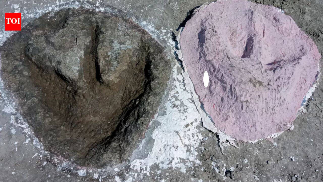 166-million-year-old Jurassic dinosaur highway discovered beneath a British quarry
