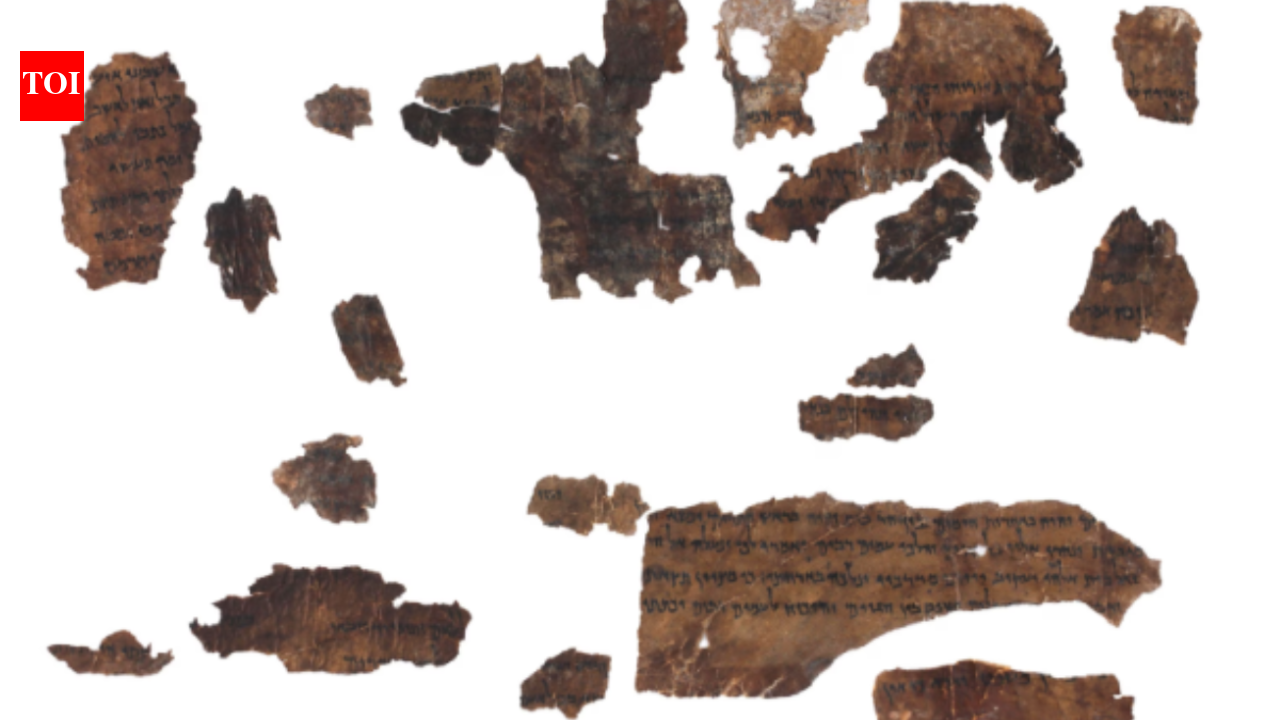 In 1947, Bedouin herder Muhammad edh-Dhib entered a desert cave and set off the discovery of the Dead Sea Scrolls