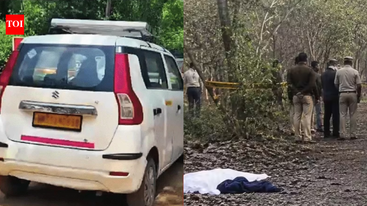 Delhi horror: Cops to press for tougher screening of cab drivers