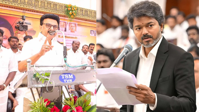  M K Stalin responds to CM Vijay's 'Appa-va Kaanom' (Your father is missing') remarks