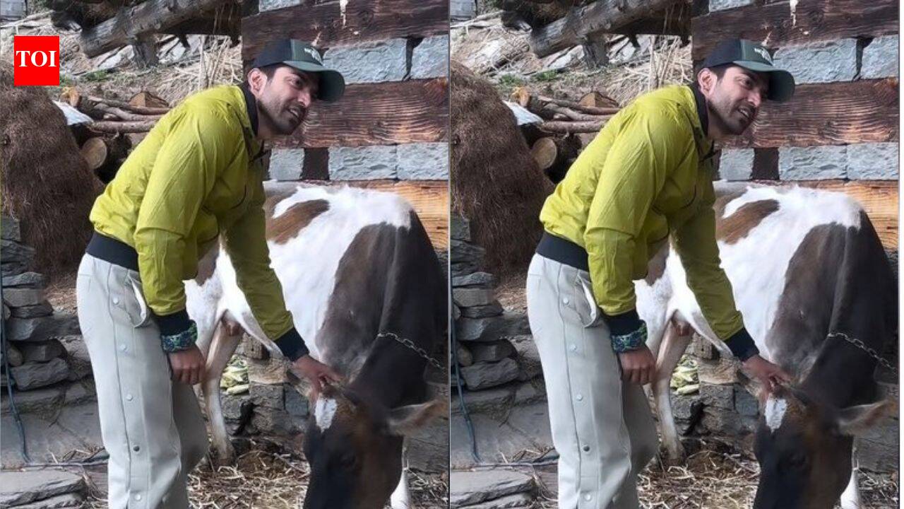Gurmeet Choudhary embraces village life in Manali; wins hearts with his simple moments