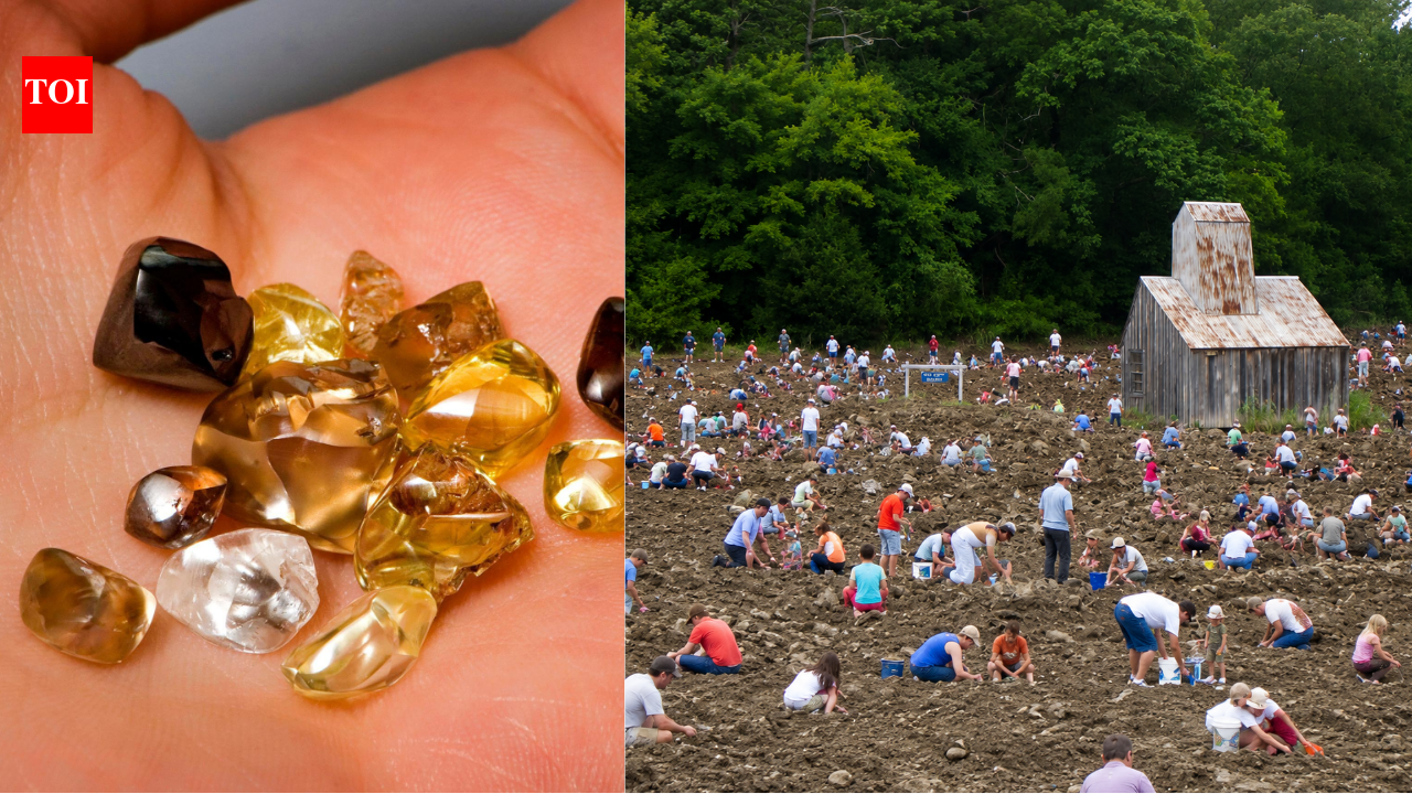 At this US park, visitors have found over 37,000 diamonds since 1972 and can keep every gem they discover