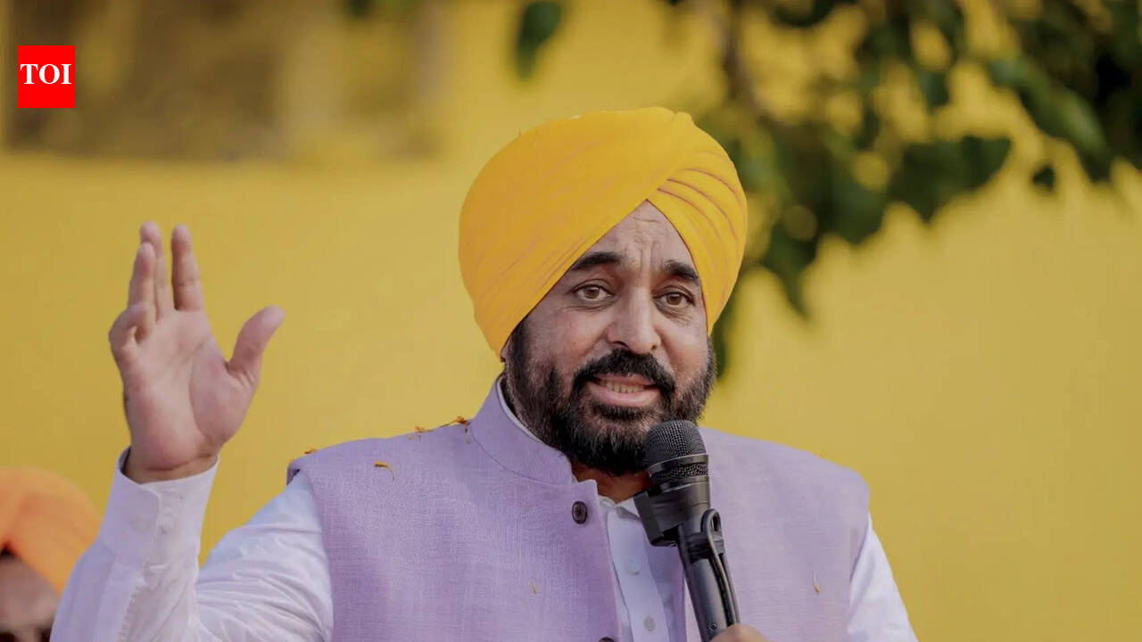 'Impostor wearing my mask': Bhagwant Mann sticks to 'not me' stand in viral 'sacrilege' video row