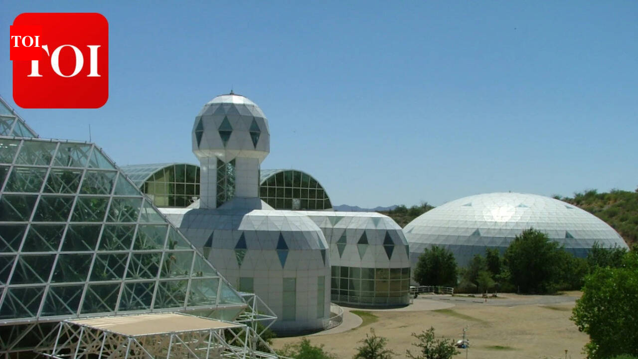 In 1991, eight people sealed themselves into an artificial enclosed ecosystem in Arizona; oxygen concentrations dropped from 21% to 14% within 16 months after carbon dioxide became locked into the facility's concrete surfaces