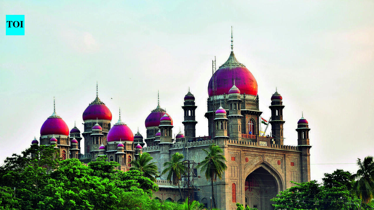 HC seeks action on alleged police abuse of 75-yr-old retired cop
