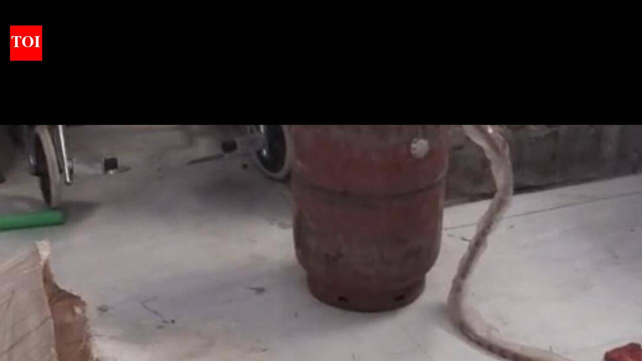 Dead rats found in midday meal rice, panic in Yadgir school