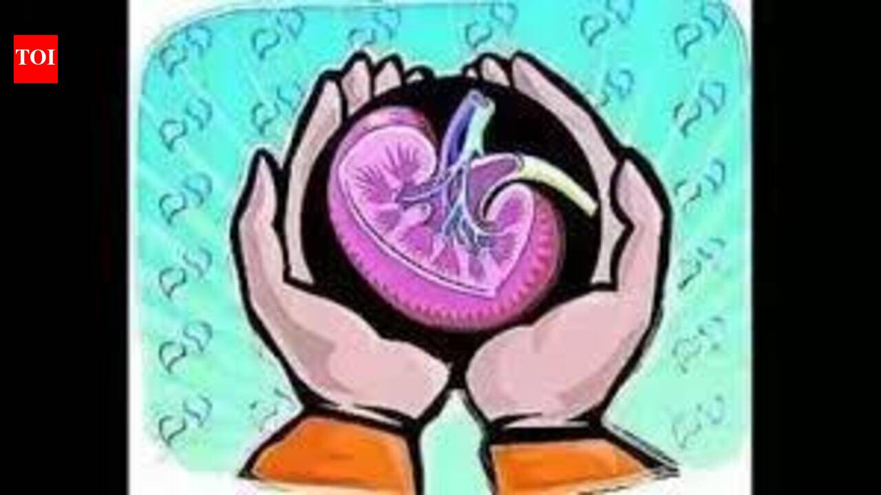 Brain-dead accident victim’s organs save four patients