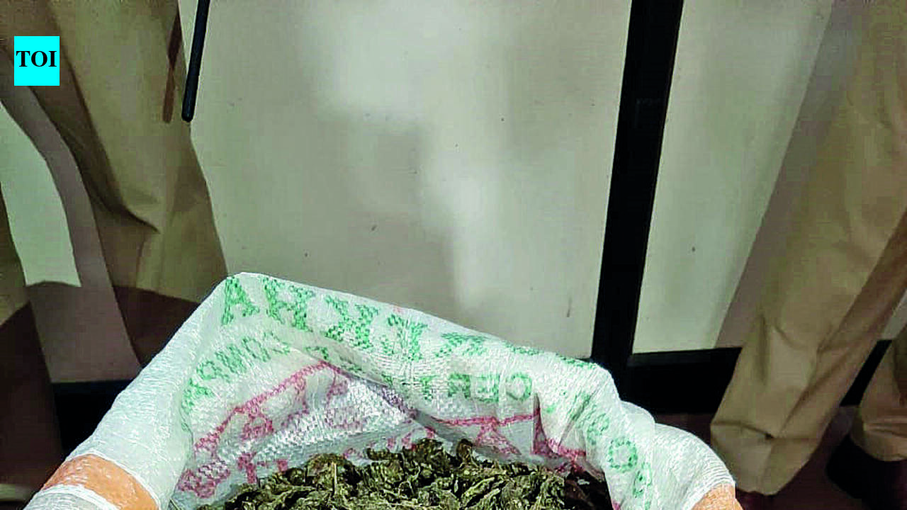 Hybrid ganja seized by Ernakulam rural police valued at Rs 18 crore
