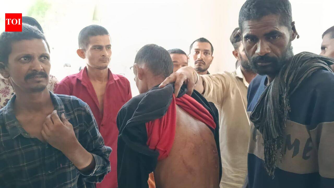 ‘Pit bulls guarded us, we were beaten like dogs’: Rescued bonded labourers recall months of horror