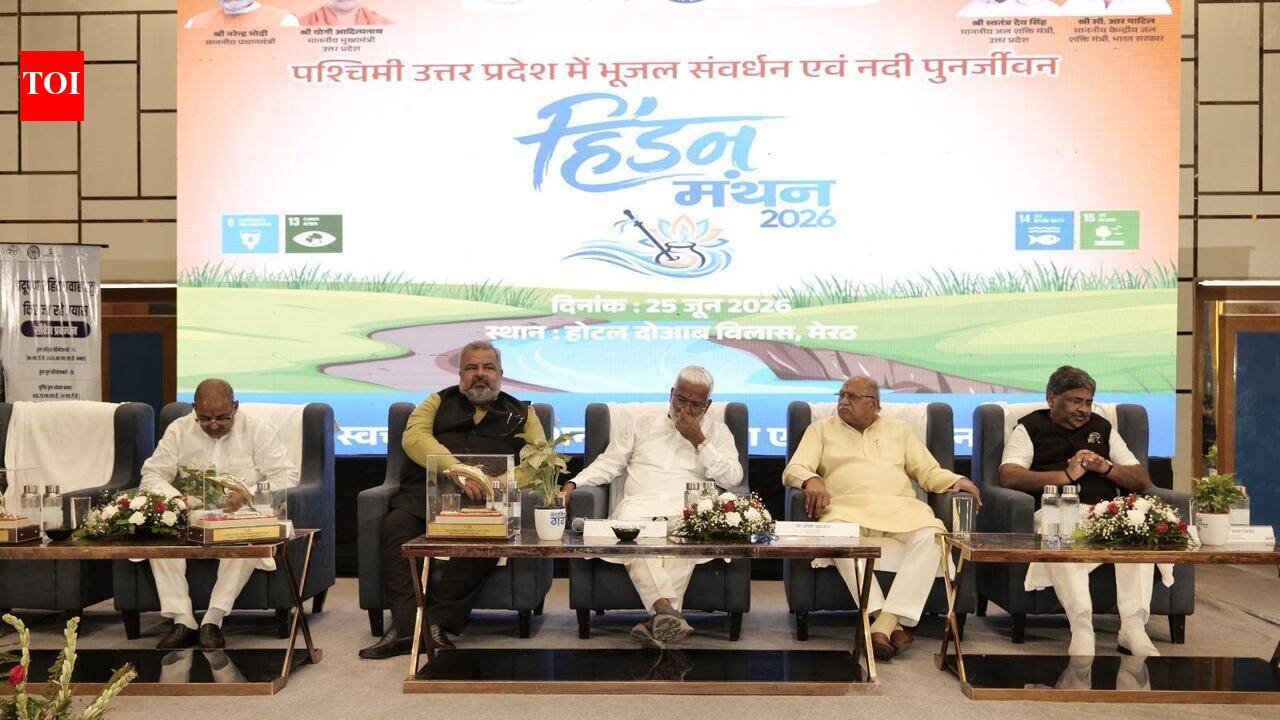 Hindon revival takes centre stage at Meerut workshop