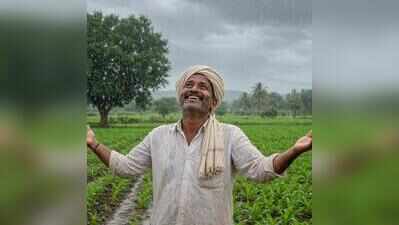 Monsoon returns, lifts spirits of Dharwad’s kharif farmers
