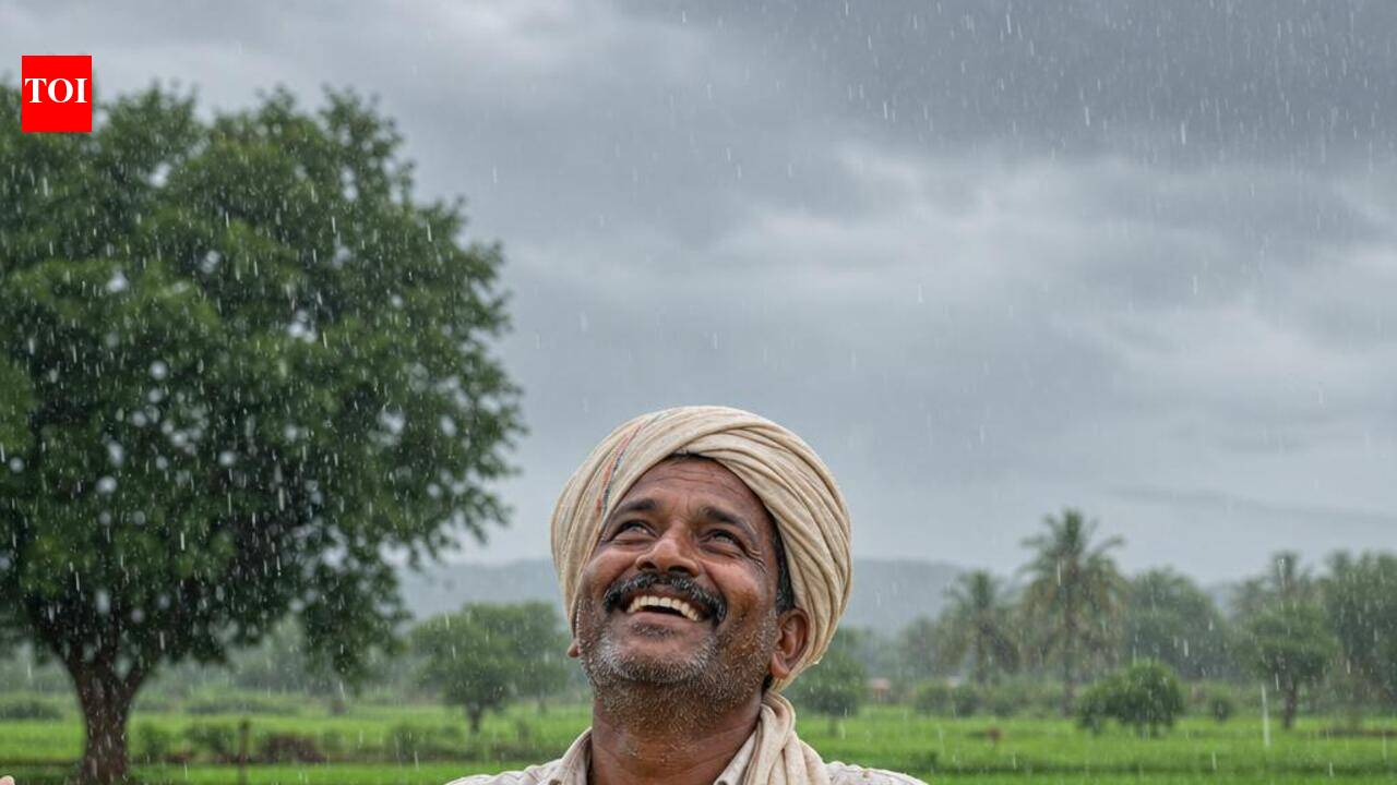 Monsoon returns, lifts spirits of Dharwad’s kharif farmers