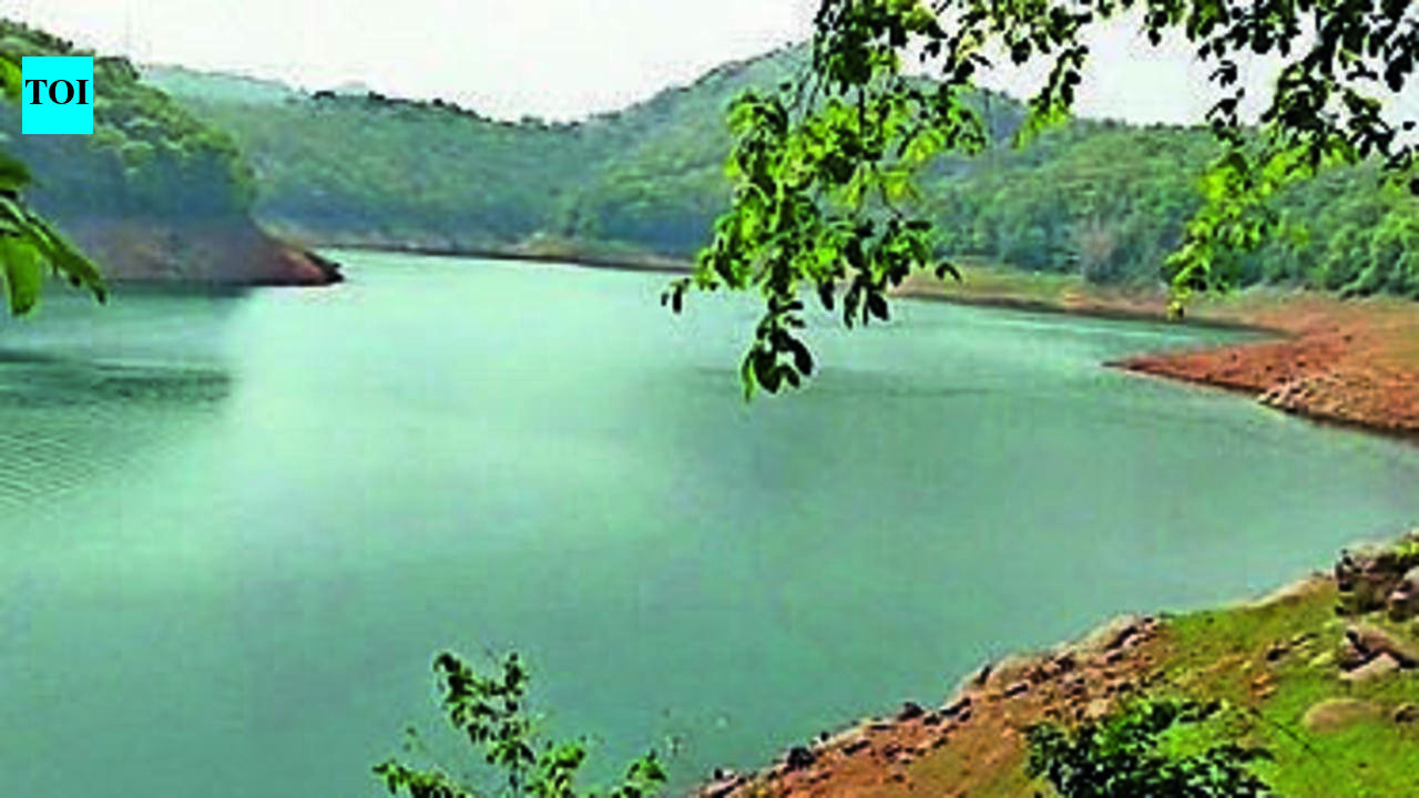 Only 24% water storage left in Idukki dam