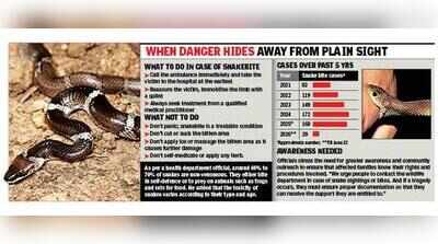 Snakebite cases spike, civil hospital reports 29 this year