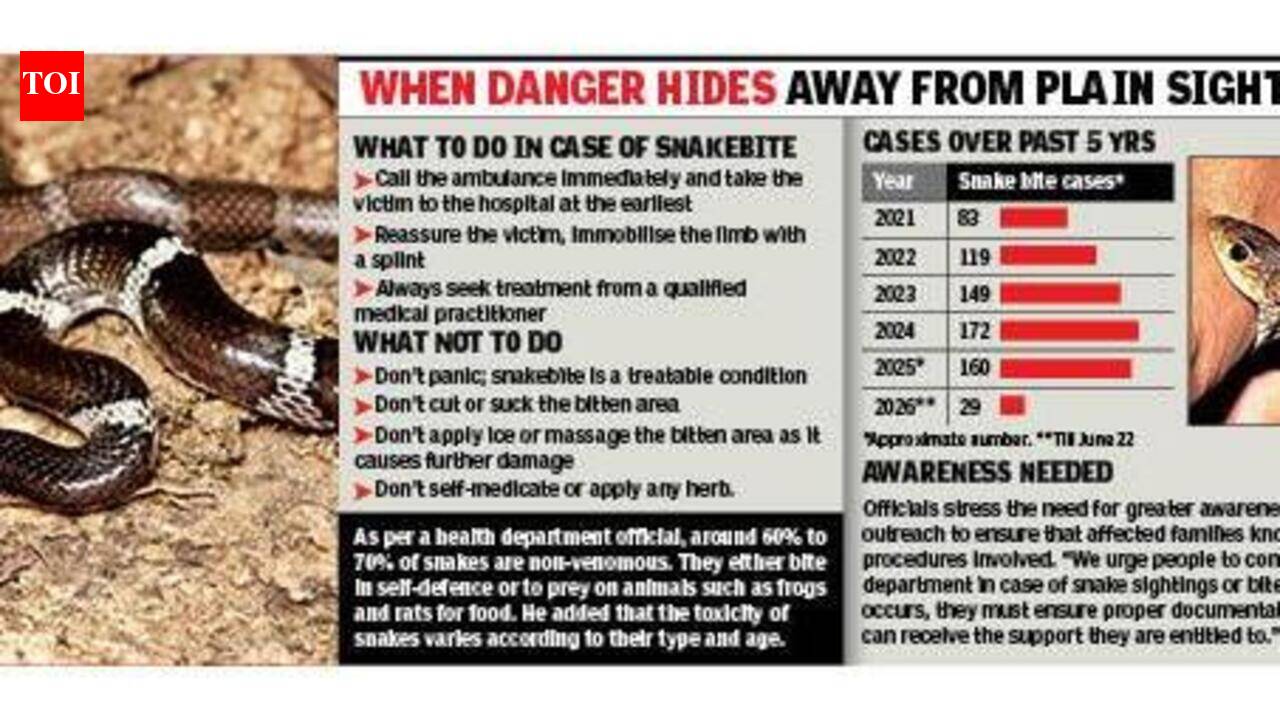 Snakebite cases spike, civil hospital reports 29 this year