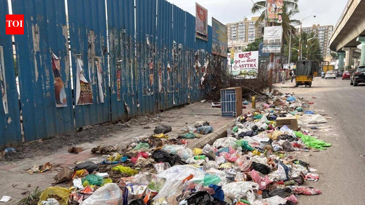 Bengaluru’s Kanakapura Road: A daily obstacle course of garbage, stench and broken footpaths