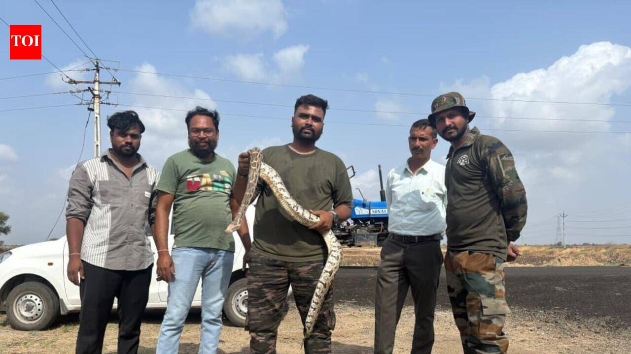 7-foot python rescued from village near Dholka in Gujarat