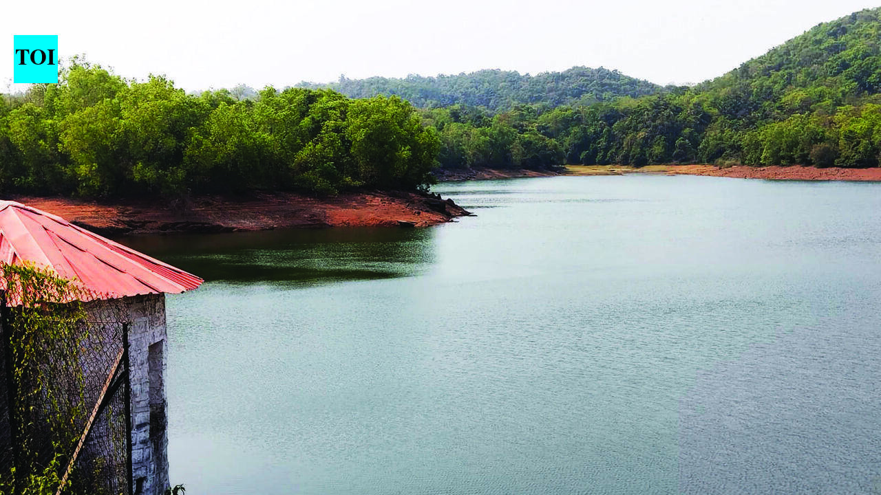 Rain lifts reservoir levels, but Goa plans early moves to secure supply